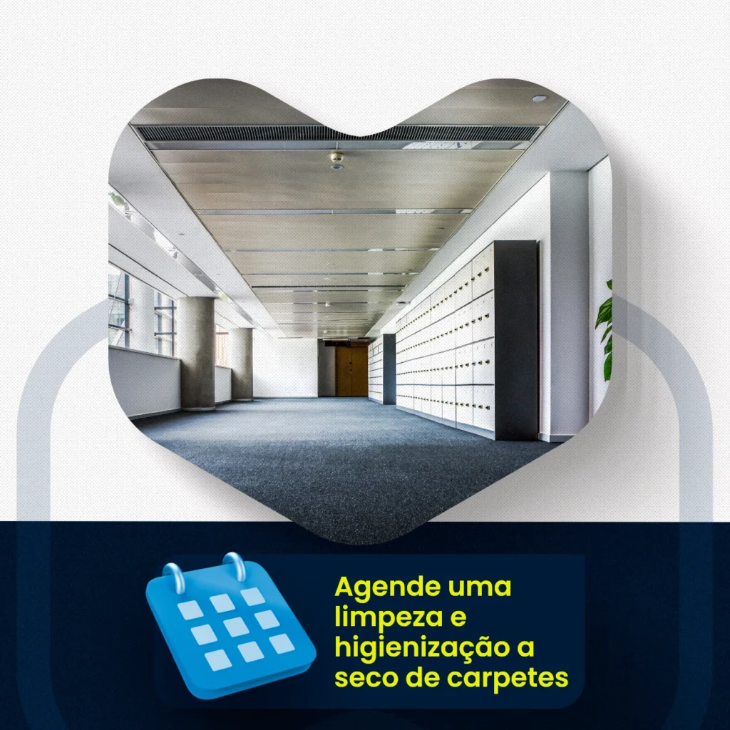 Limpeza e higienização a seco de carpetes (2)